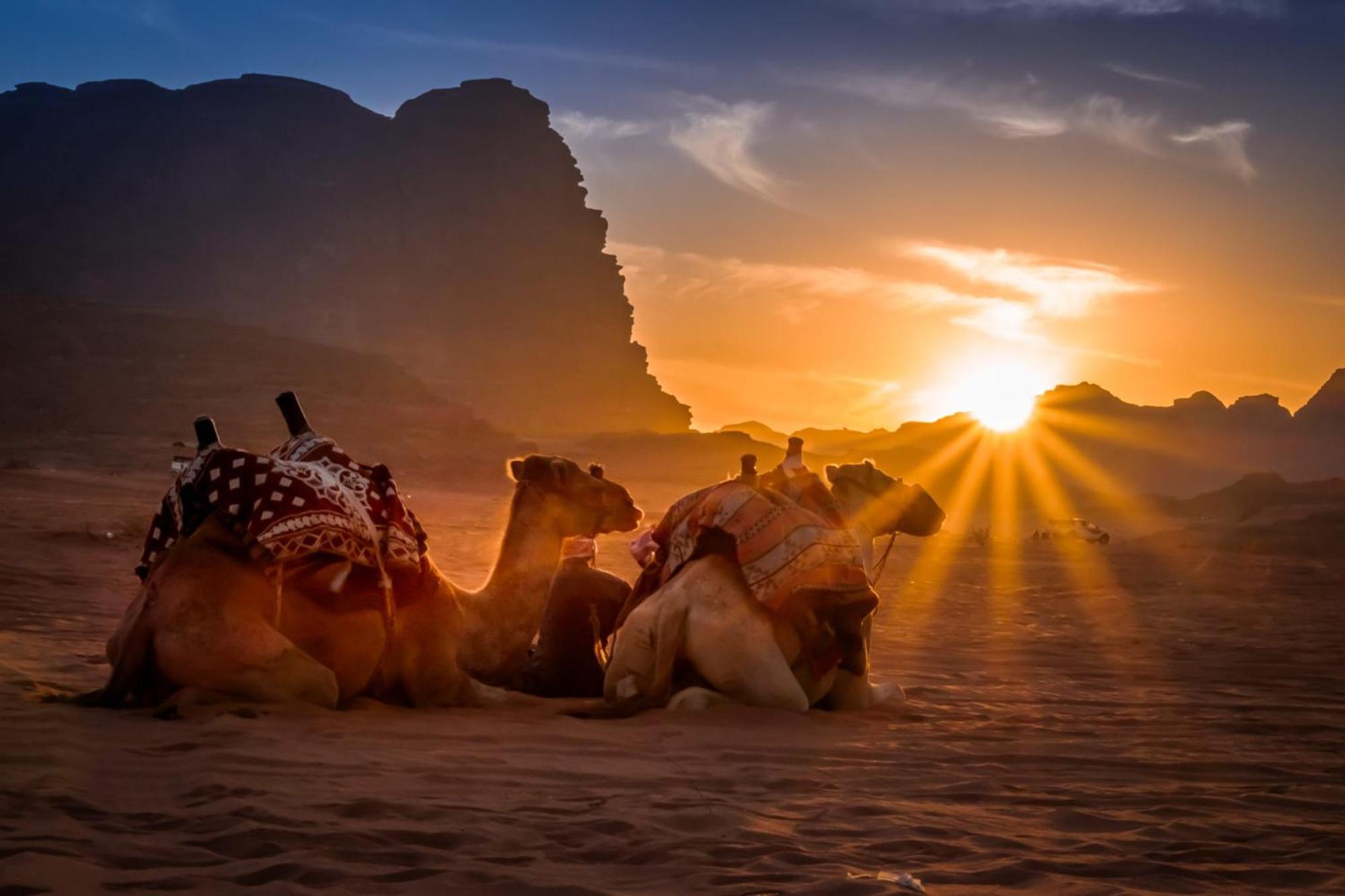 Hotel Wadi Rum Caeser Camp Exterior foto